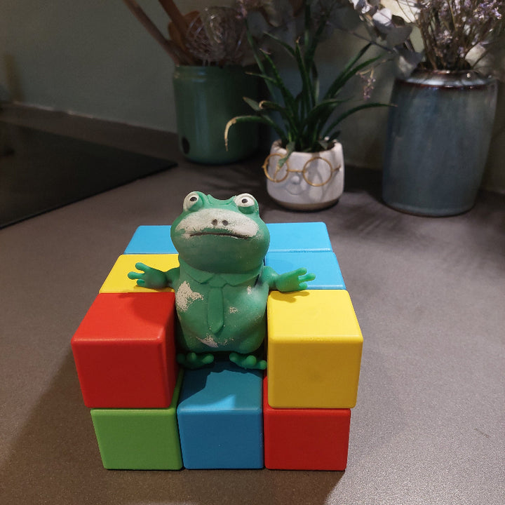 kikker zit op magnetische blokken: Geomag Magicube 16-delig, motoriekspeelgoed, blokken in rood, geel, groen en blauw