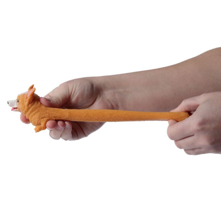 Stretchy Corgi hond