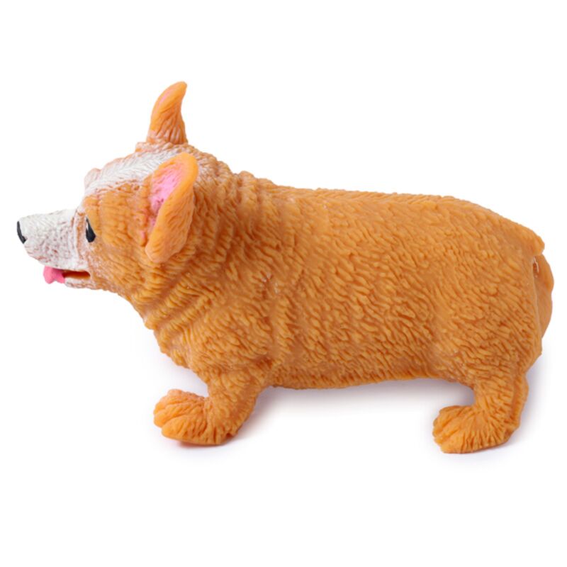 Stretchy Corgi hond