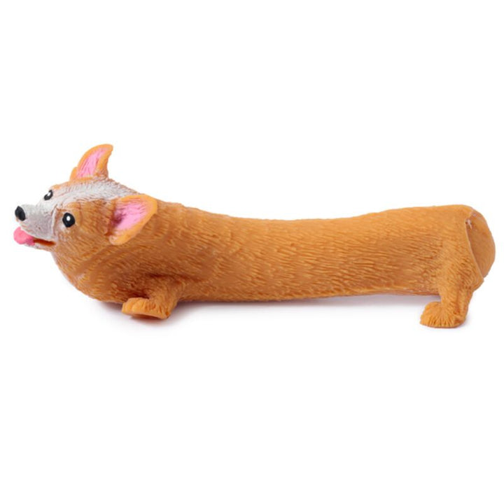 Stretchy Corgi hond