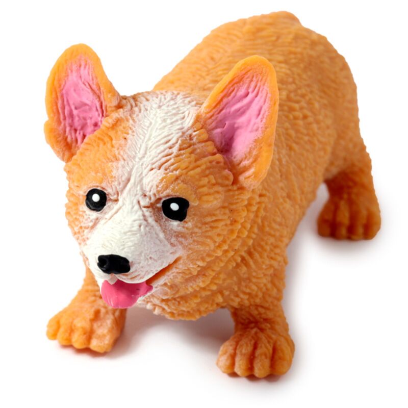 Stretchy Corgi hond