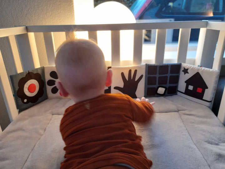 Toys42Hands Dubbelzijdig zwart-wit boxboek vogel