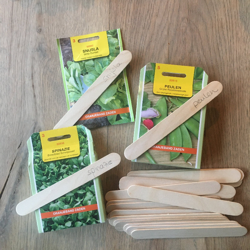 JToys Ijsstokjes groot natuur als labels voor zaadjes, moesttuin