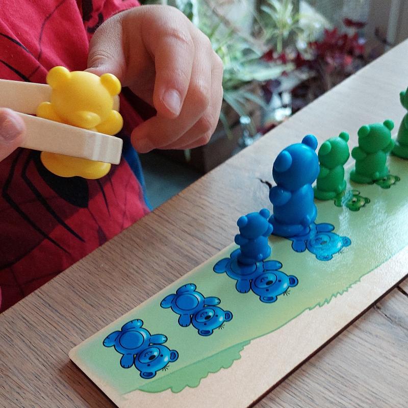 Toys42Hands Beren sorteerspel
