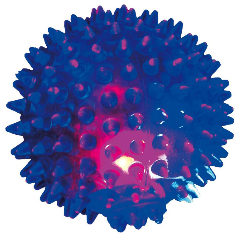 Sensoriek